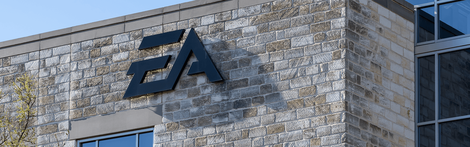 Electronic Arts: The Private Markets Premium